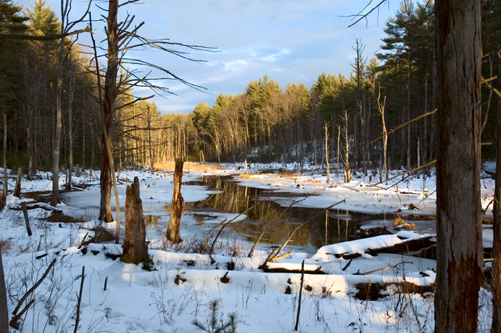 Wood Duck Pond, Beaver Brook, Hollis, NH