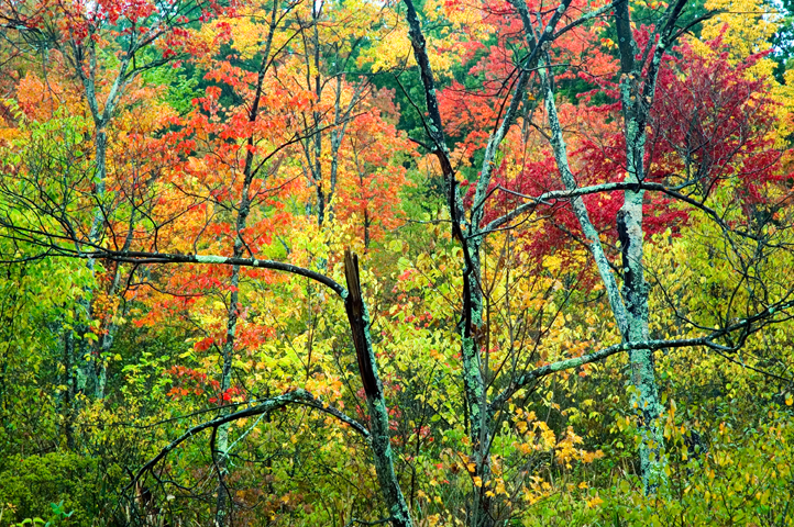 Fall Rain, Nashua, NH