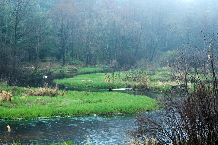 Salmon Brook, Nashua, NH 04