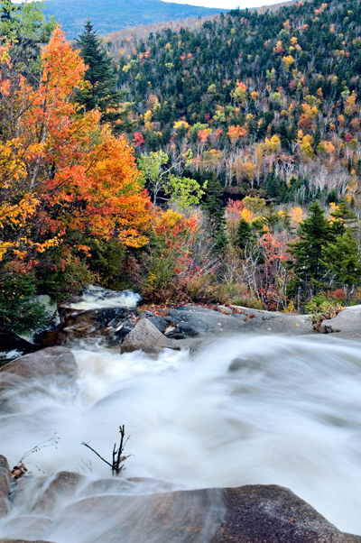 Zealand Falls, White Mountains, NH 01