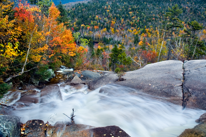Zealand Falls, White Mountains, NH 02  