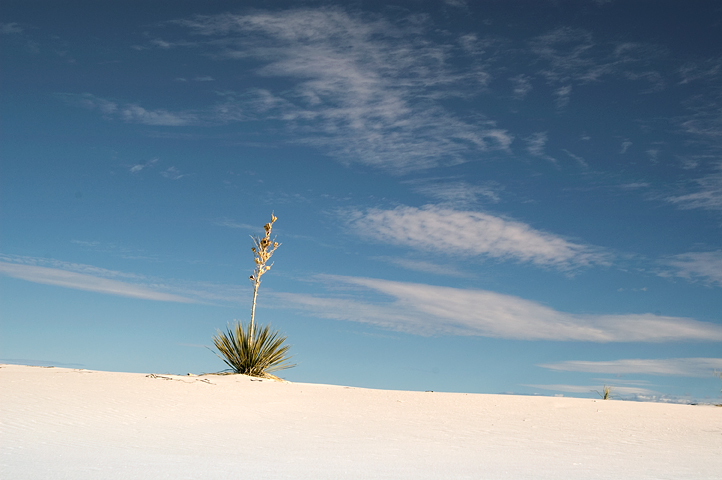 White Sands National Monument, NM 04