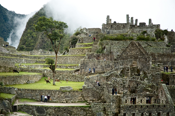 Machu Picchu 10