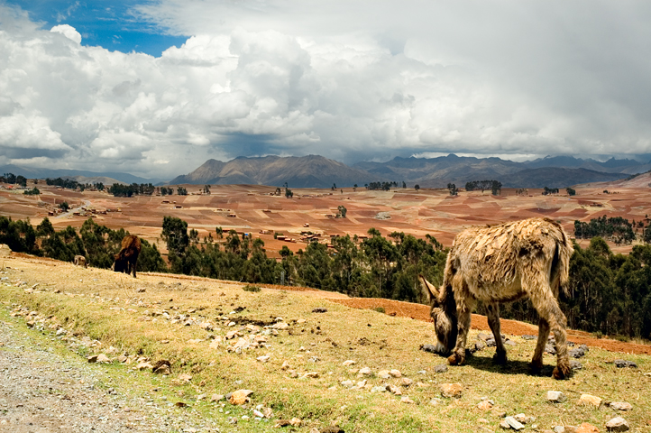 Sacred Valley 07