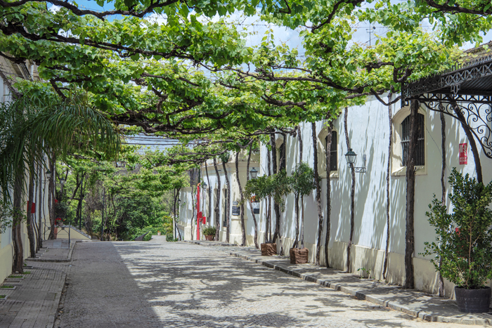 Jerez de la Frontera 03