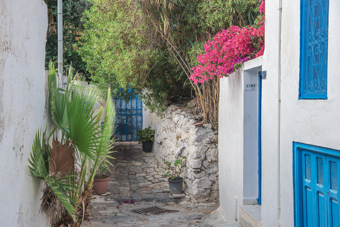 Sidi Bou Said 04
