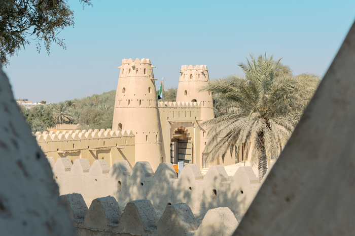 Al-Jahili Fort Al Fin 04