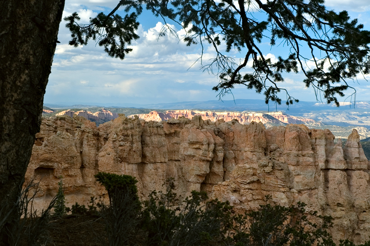 Black Birch Canyon, Bryce Canyon National Park