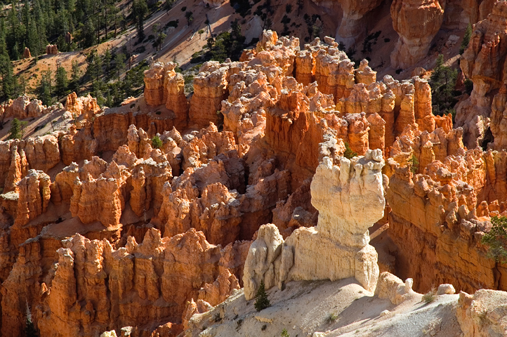 Black Birch Canyon, Hoodoos, Bryce Canyon National Park 03