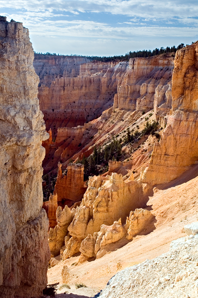 Inspriration Point, Eroded Slopes and Hoodoos, Bryce Canyon National Park 07