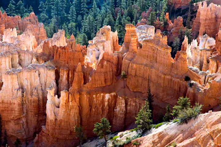 Inspriration Point, Eroding Fins and Hoodoos, Bryce Canyon National Park 06