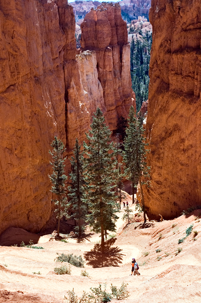 Navajo Loop, Bryce Canyon National Park 05