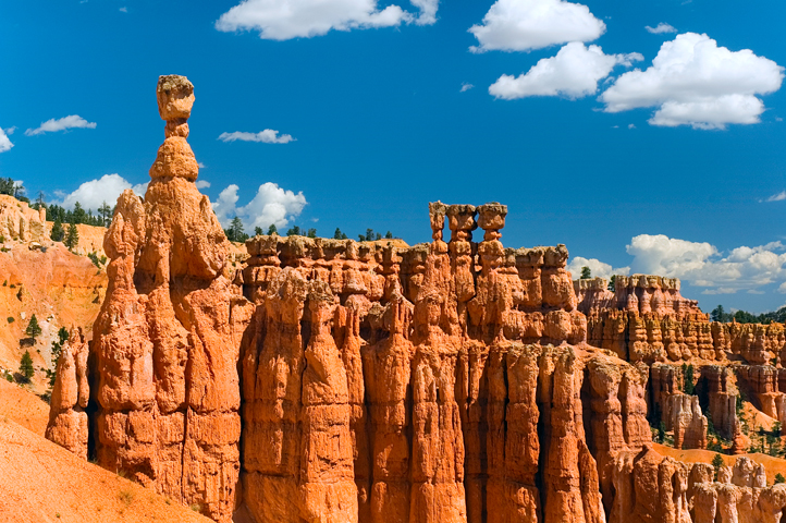 Navajo Loop, Hoodoos, Bryce Canyon National Park 03