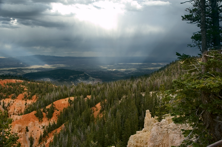 Rainbow Point, Bryce Canyon National Park 05