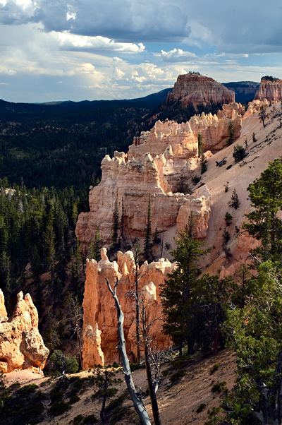 Swamp Canyon, Eroded Slopes and Hoodoos, Bryce Canyon National Park 02