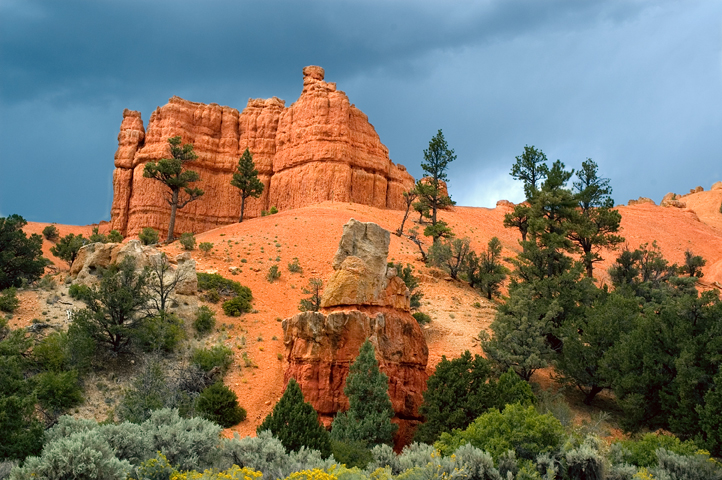 Red Canyon 01