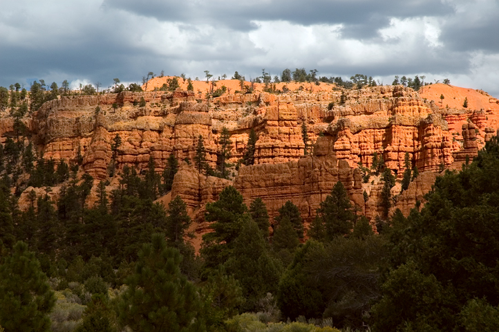 Red Canyon 04