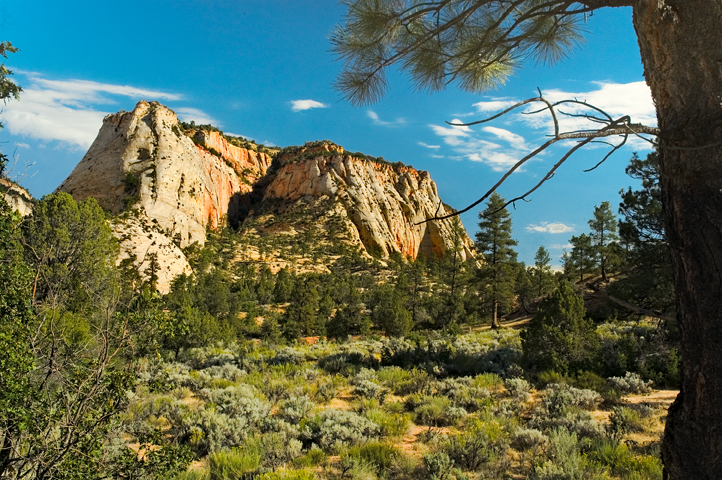 E. Entrance, Zion National Park 01
