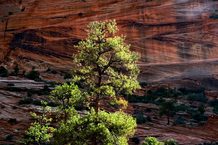 E. Entrance, Zion National Park 03