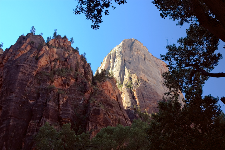 Weeping Rock, near, Zion National Park 02