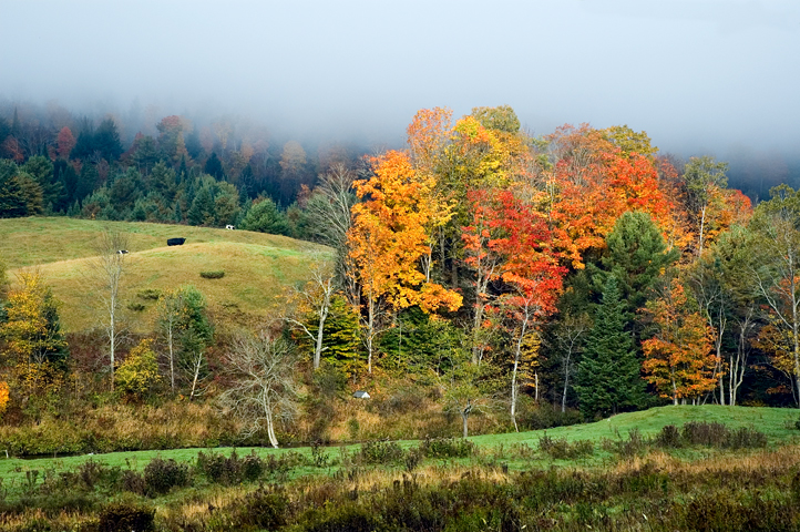 East Corinth, VT 03