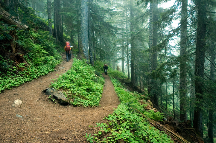 Cascade Pass Trail, North Cascades National Park 01