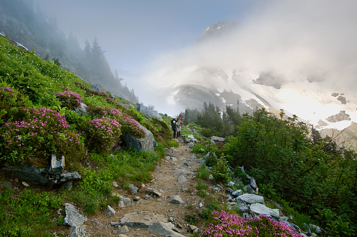 Cascade Pass Trail, North Cascades National Park 03