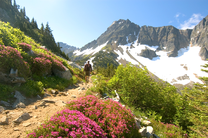 Cascade Pass Trail, North Cascades National Park 05