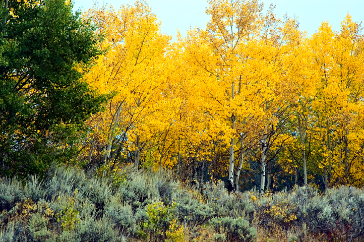 Grand Teton National Park 07