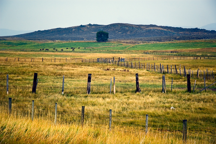 Wyoming 04