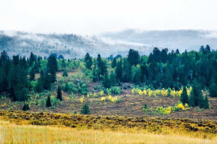 Wyoming 07