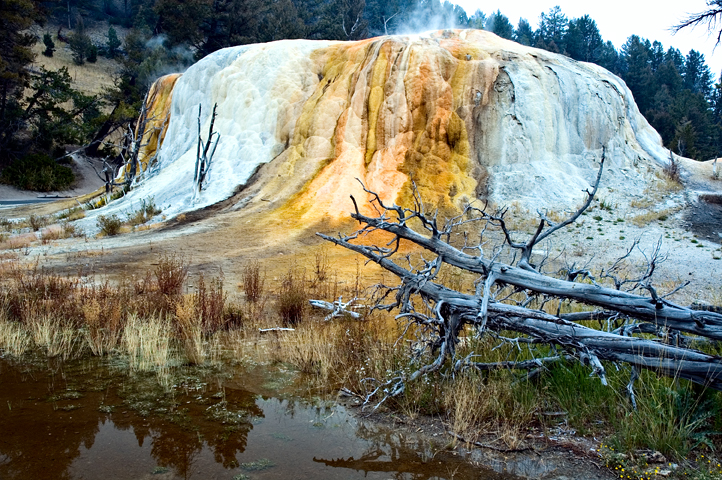 Geyser, Upper Minerva Terrace, Yellowstone National Park 01