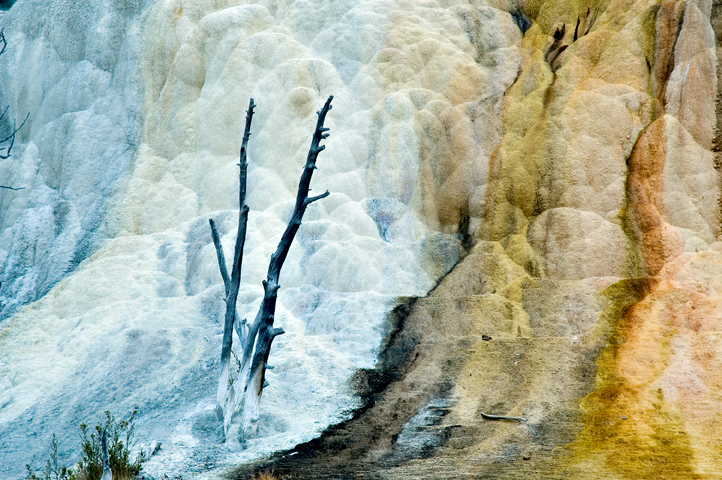 Geyser, Upper Minerva Terrace, Yellowstone National Park 02