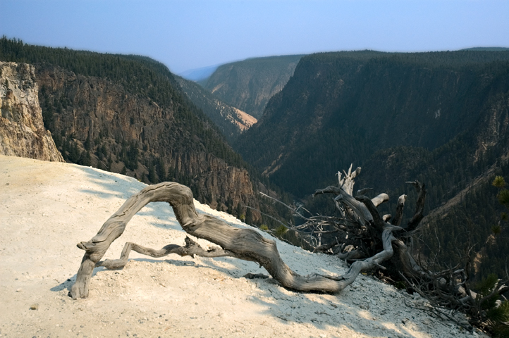Yellowstone Canyon, Yellowstone National Park 06
