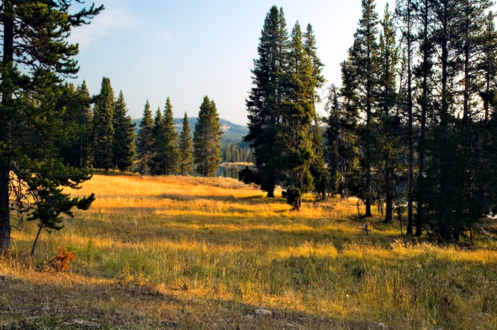 Yellowstone Lake, Yellowstone National Park 02