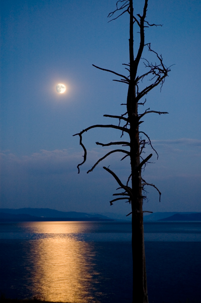 Yellowstone Lake, Yellowstone National Park 04